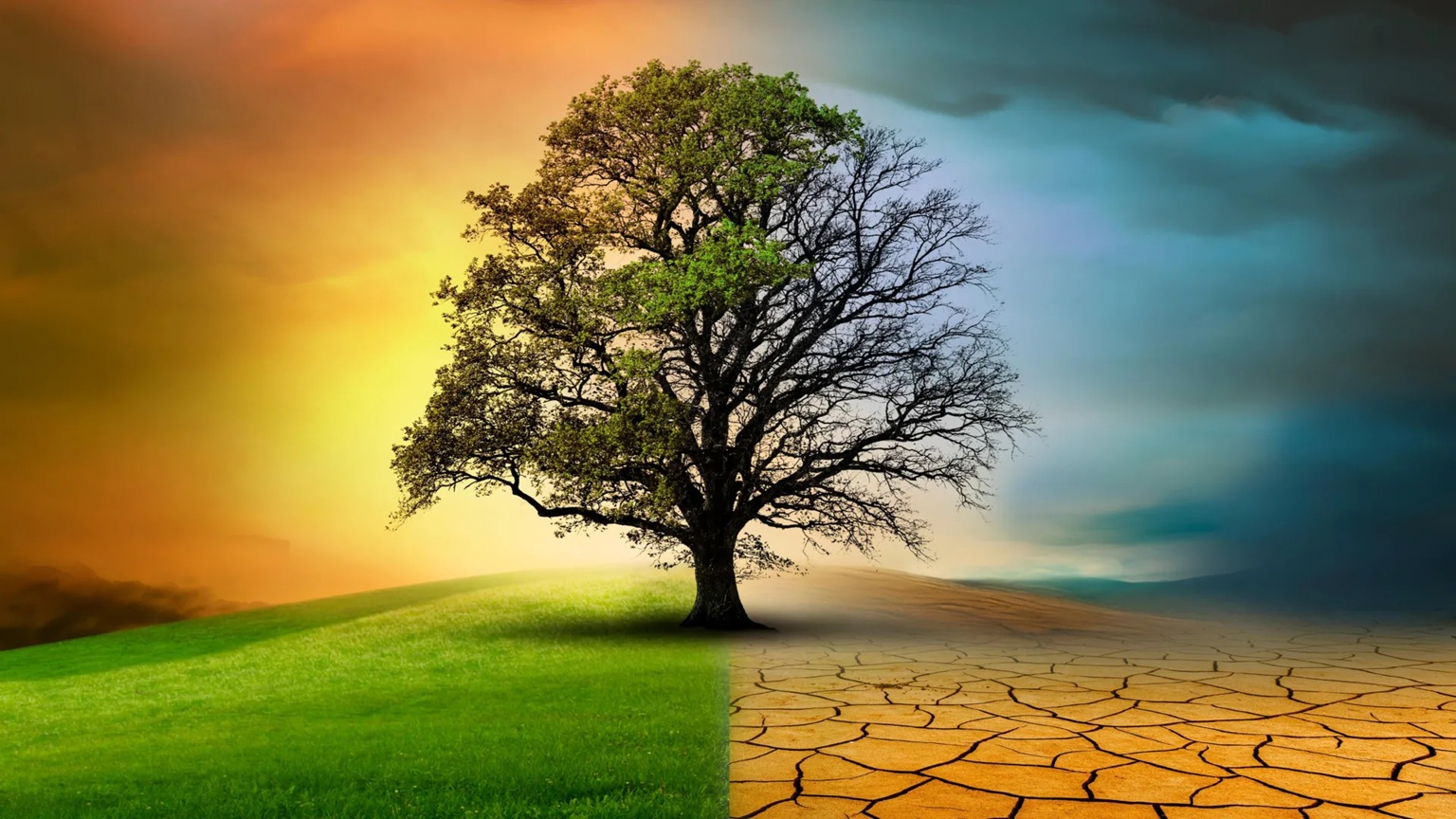 The Hard Truth: Why Nature’s Self-Repairing Engine is Grinding to a Halt