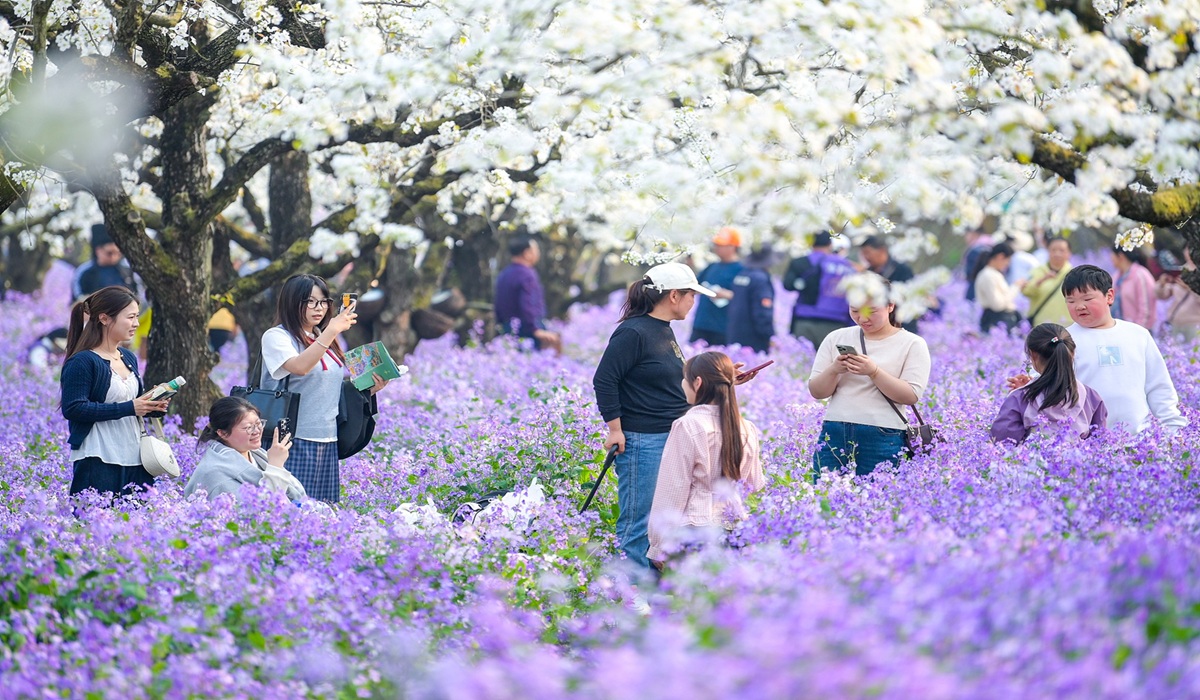 Beyond the 845 Million: Why China’s Record Qingming Surge Isn’t What It Seems