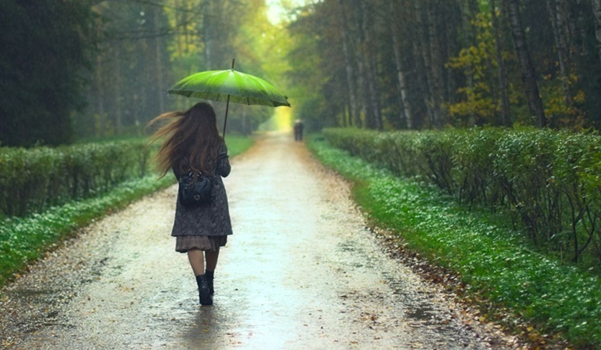 The 430-Million-Year-Old Reset: Why Your Brain Fixates on the Smell of Rain
